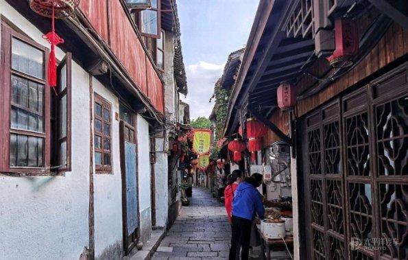 强化种子基地建设和种业品牌引领 推动现代种业产业链高质量发展